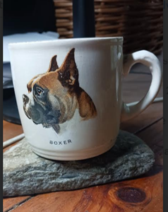 The Boxer in the Cupboard